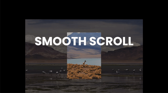 Smooth Scroll